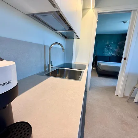 Deluxe Apartment *